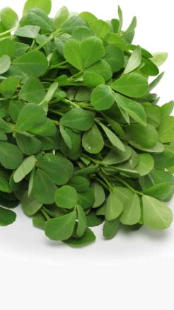 Say Goodbye to Cholesterol and Sugar Levels This Winter with...