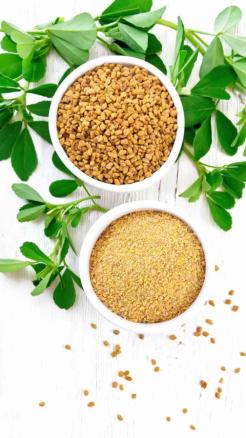 Amazing Benefits of Fenugreek Seeds