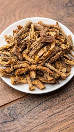 Giloy – A Natural Remedy from Fever to Immunity