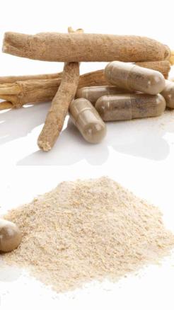 Farmers should cultivate these medicinal crops, soil fertili...