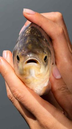 Essential Winter Fish Farming Management Tips