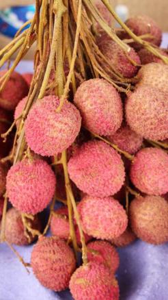 Benefits of Eating Litchi That Will Surprise You