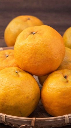 संतरे की खेती, ये 5 किस्में जो बदल सकती हैं आपकी किस्मत