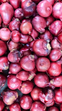 For bumper onion production, be sure to use this special fer...
