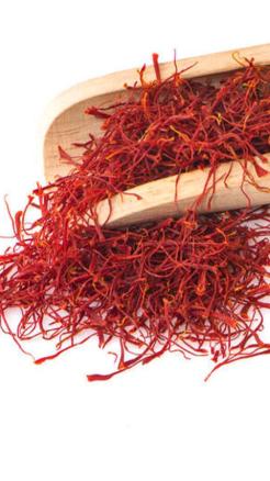 Earn profits worth lakhs from saffron cultivations