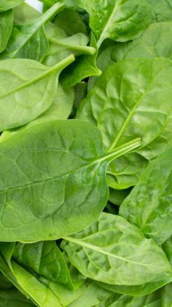 Spinach – Strength from Eyes to Bones