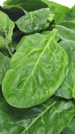 Eat These 6 Vegetables to Lose Weight Fast