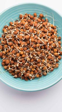 Amazing Benefits of Eating Sprouted Seeds