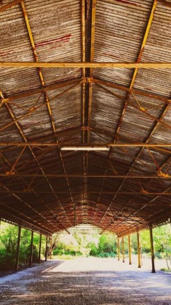 मॉनसून में इस प्रकार करें दुधारू पशुओं की देखभाल, एनिमल एक्स...