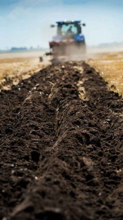 बारिश होते ही तुरंत करें मक्के की खेती होगी खूब उपज