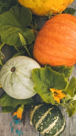 Crops growing in March season