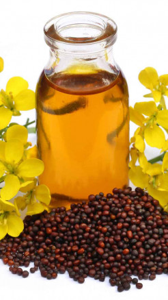 Mustard Oil - Not Just Food, A Key to Good Health