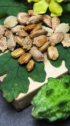 Bitter Gourd Seeds – A Natural Way to Control Sugar