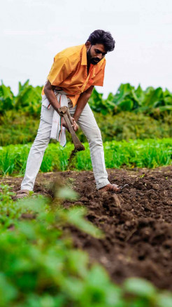 Vijayadashami 2025 – A New Beginning for Farmers