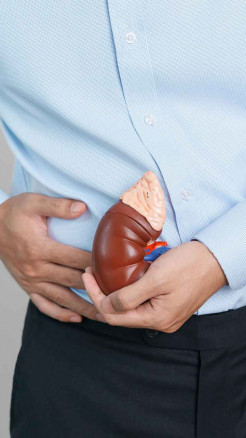 Gomutra – A Natural Way to Detox & Protect the Body