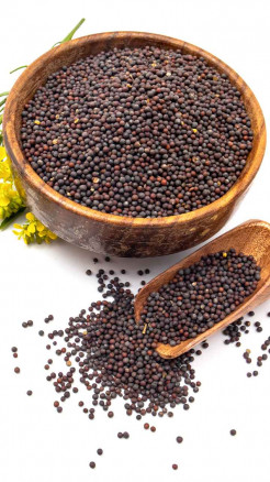 Easy Mustard Cultivation Methods for Better Harvest