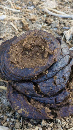 गोबर गैस प्लांट लगाने के 6 बड़े फायदे