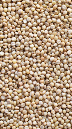 Six Traditional Indian Grains That Are Real Superfoods