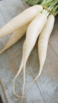 Eat Radish, Keep Diseases Away! 06 Amazing Health Benefits o...