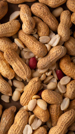 Roasted Peanuts Benefits in Winter: Simple Health Gains You...