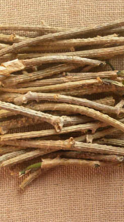 Six Amazing Benefits of Having Giloy in Winter