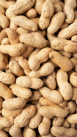 5 Winter Superfoods to Keep Your Health Strong