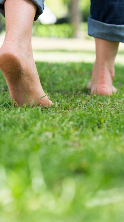 Six Surprising Benefits of Walking Barefoot on Grass in the...