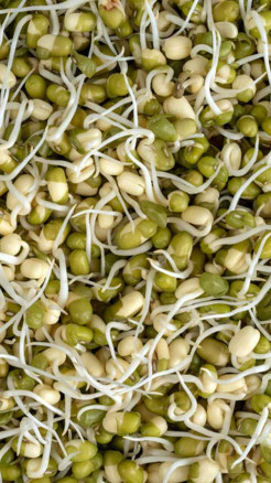 5 Winter Superfoods That Boost Strength & Immunity Naturally