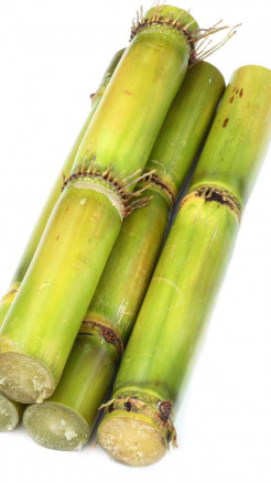 6 Desi Foods That Boost Strength in Winter