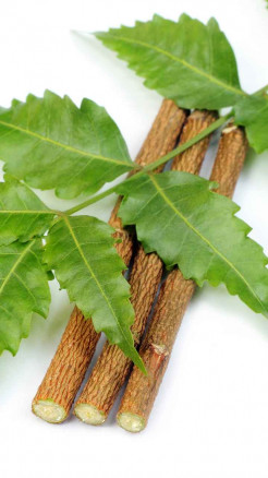 डॉक्टर भी मानते हैं ये 5 प्राकृतिक चीज़ें सेहत के लिए फायदेम...