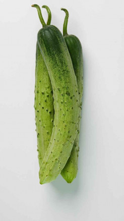 खीरे के छिलके खाने के 6 जबरदस्त फायदे, स्किन और पेट दोनों रहेंगे हेल्दी