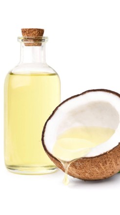 Camphor A Therapeutic Remedy for Body Ailments