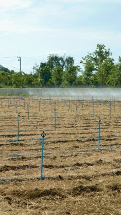 How to Transform Infertile Land into Productive Soil