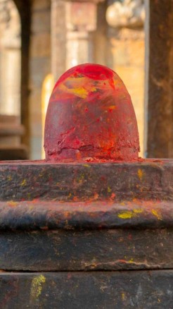 Do these 5 measures during Nautapa for wealth and prosperity