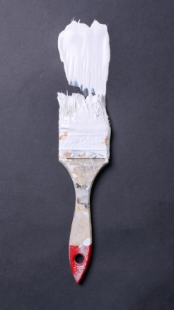 Optimal Care for Your Chickens During the Summer Months