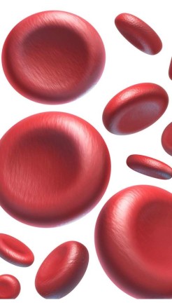 मशरूम के 7 बड़े फायदे जान जाओगे तो रोज खाओगे