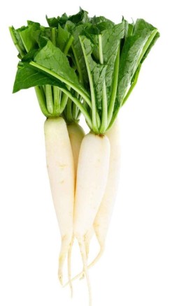 How to Grow a Thriving Unique Radish Variety