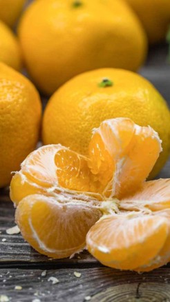 Orange cultivation, These 5 superior varieties and their cha...