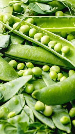 Top 5 Advanced Varieties of Peas