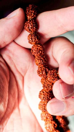 Plant This Plant at Home to Please Lord Shiva