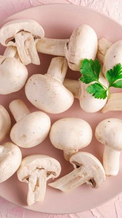 Leave jobs and start dairy mushroom farming, monsoon is the...