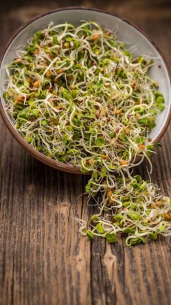 Know the amazing benefits of sprouts for your morning routin...