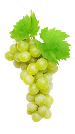 7 Natural Fruits to Eat in summers