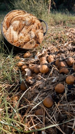 This compost is particularly beneficial for small garden pla...