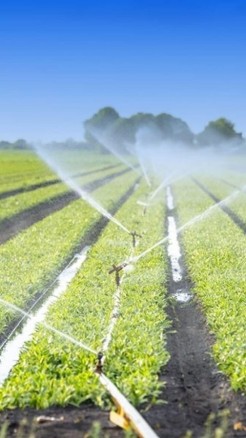 ड्रिप सिंचाई के 8 फायदे होगी फसलों की पैदावार में वृद्धि