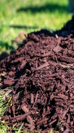 खेतों में मल्चिंग से होगा ये बड़ा फायदा, अपनाएं यह 7 तरीका