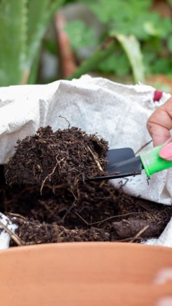 Using Mulching 7 Benefits, Adopt These Methods