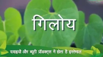Herbal Farming | हर्बल खेती