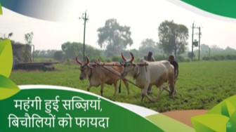 Skyrocketing prices of tomatoes and onions - Jul 16, 2023