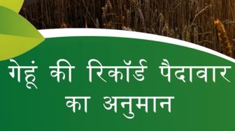 गेहूं की रिकॉर्ड पैदावार | Record production of wheat